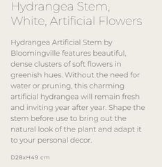 Hydrangea Stem