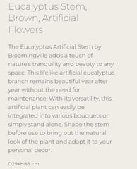 Eucalyptus Stem