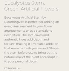 Eucalyptus Stem