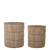 Elit Basket