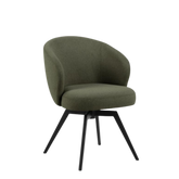 Darlene Dining Chair with Armrest