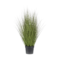 Grass Border