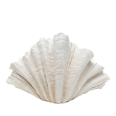 Deco Vase Concha