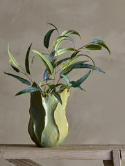 Eucalyptus Stem