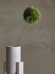 Allium Stem