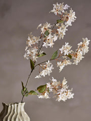 Myrtle Stem