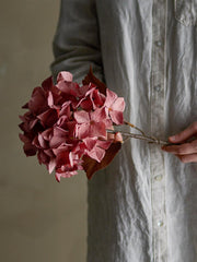 Hydrangea Stem