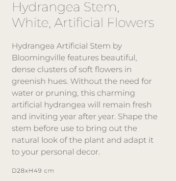 Hydrangea Stem
