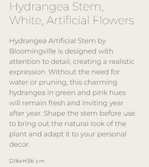 Hydrangea Stem