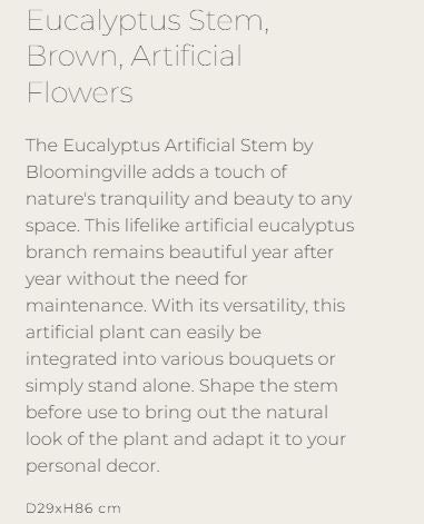 Eucalyptus Stem