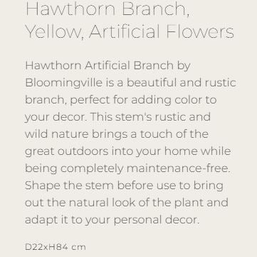 Hawthorn Branch