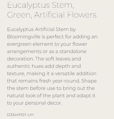 Eucalyptus Stem