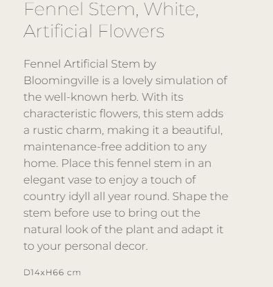 Fennel Stem