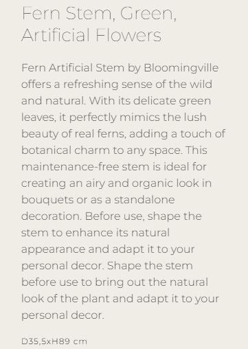 Fern Stem