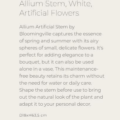 Allium Stem