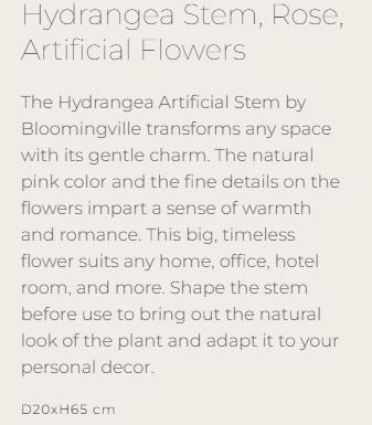 Hydrangea Stem