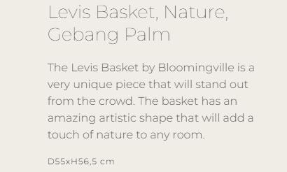 Levis Basket