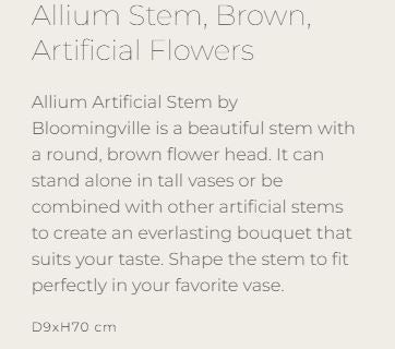 Allium Stem