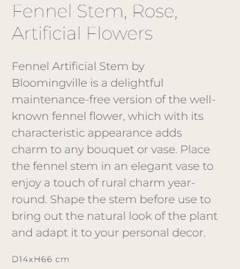Fennel Stem