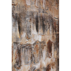 Canvas Picture Shadows Brown