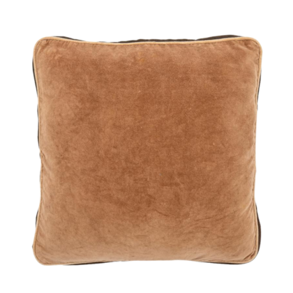 Aurial Cushion