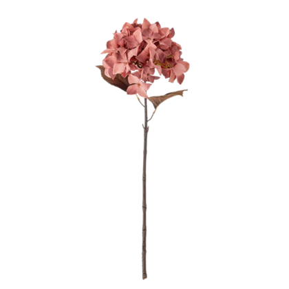Hydrangea Stem