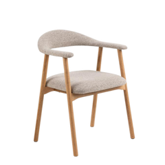 Addi Dining Chair with Armrest
