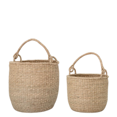 Ditlev Basket