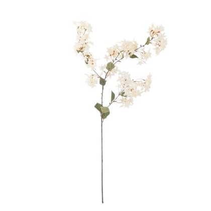 Myrtle Stem