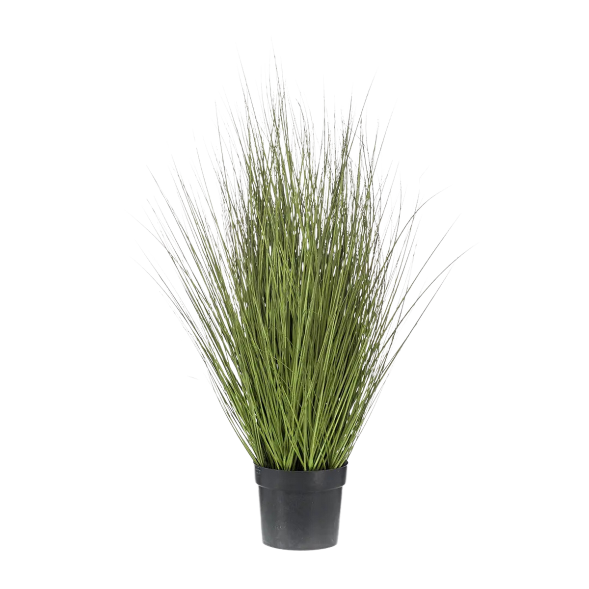 Grass Border