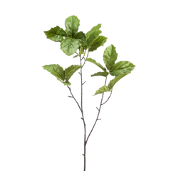 Chestnut Leaf Spray Green