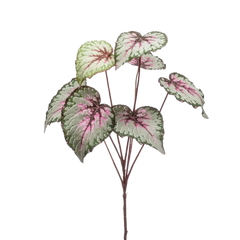 Begonia Leaves Spray Grey Pink