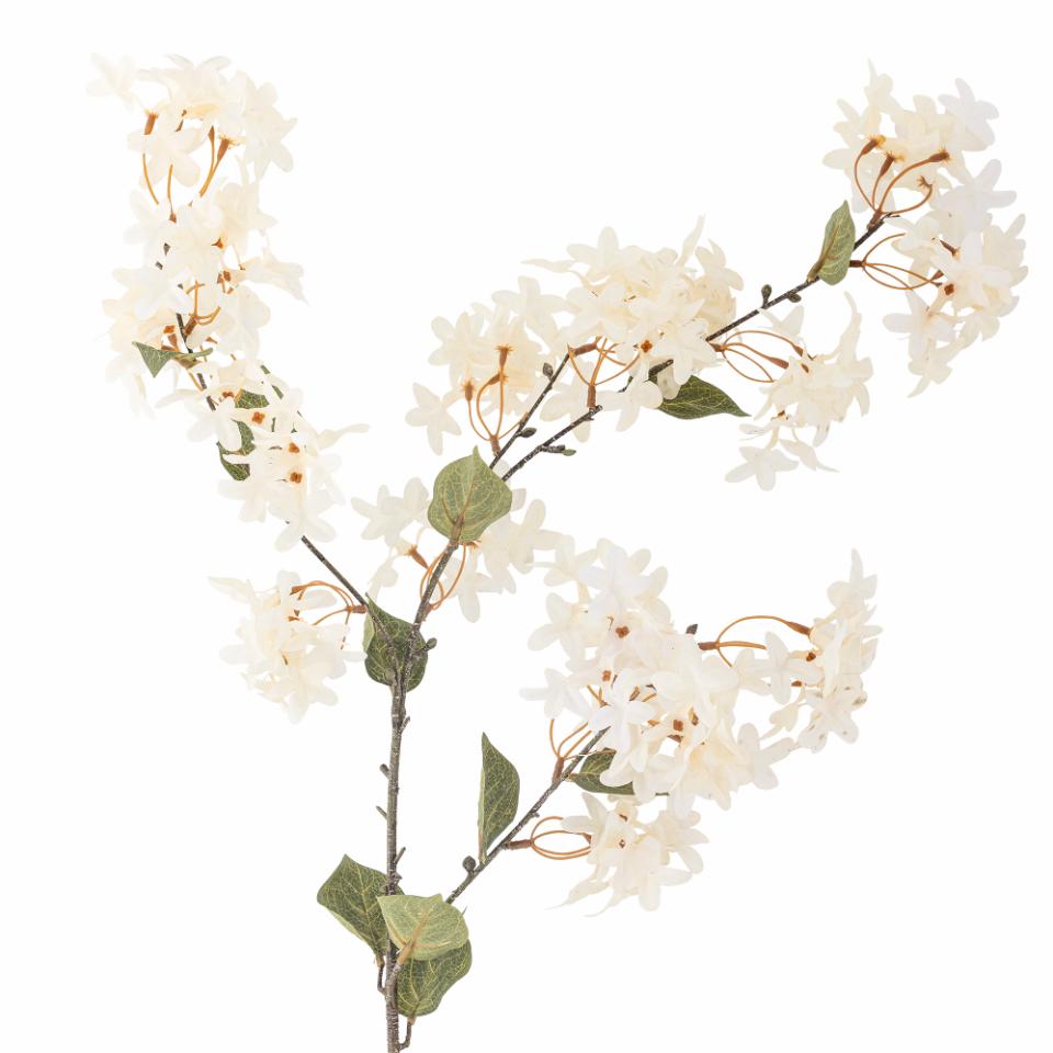 Myrtle Stem