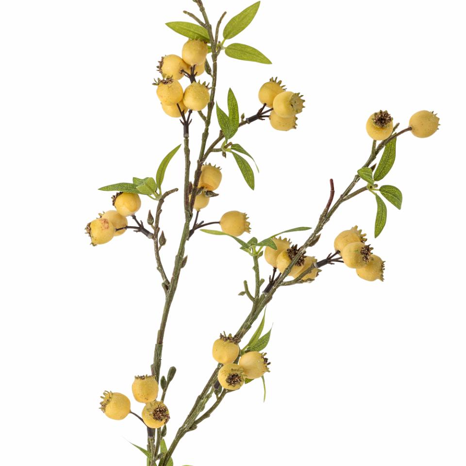 Hawthorn Branch