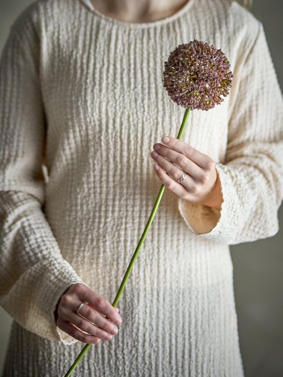 Allium Stem