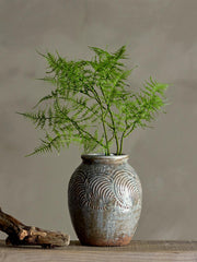 Fern Stem