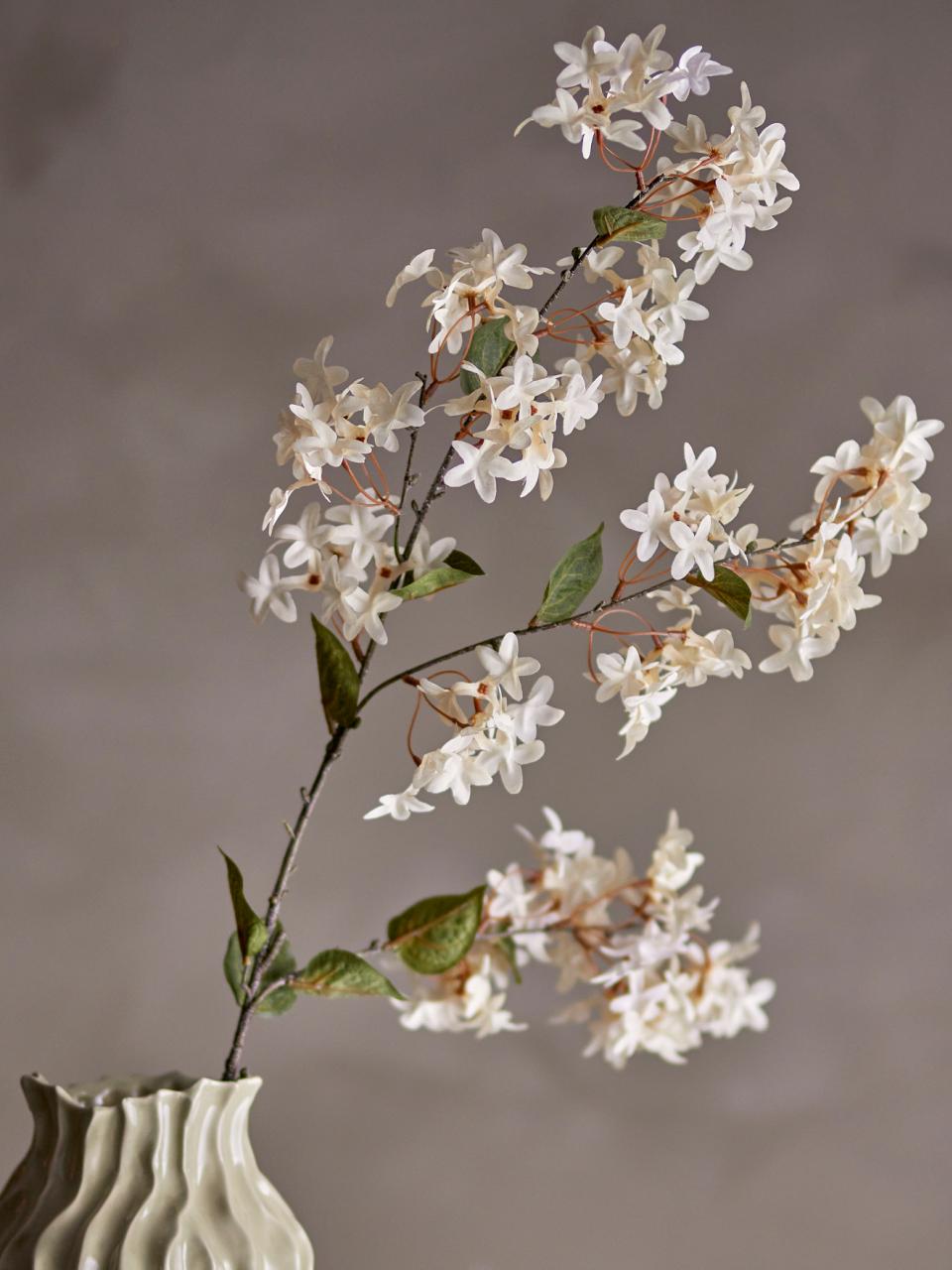 Myrtle Stem