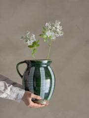 Fennel Stem