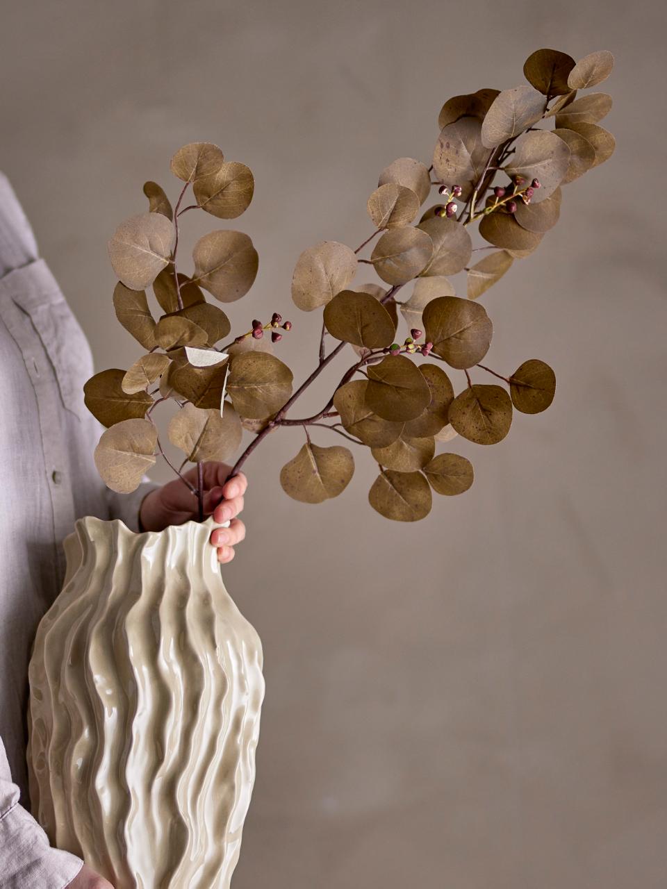 Eucalyptus Stem