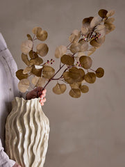 Eucalyptus Stem