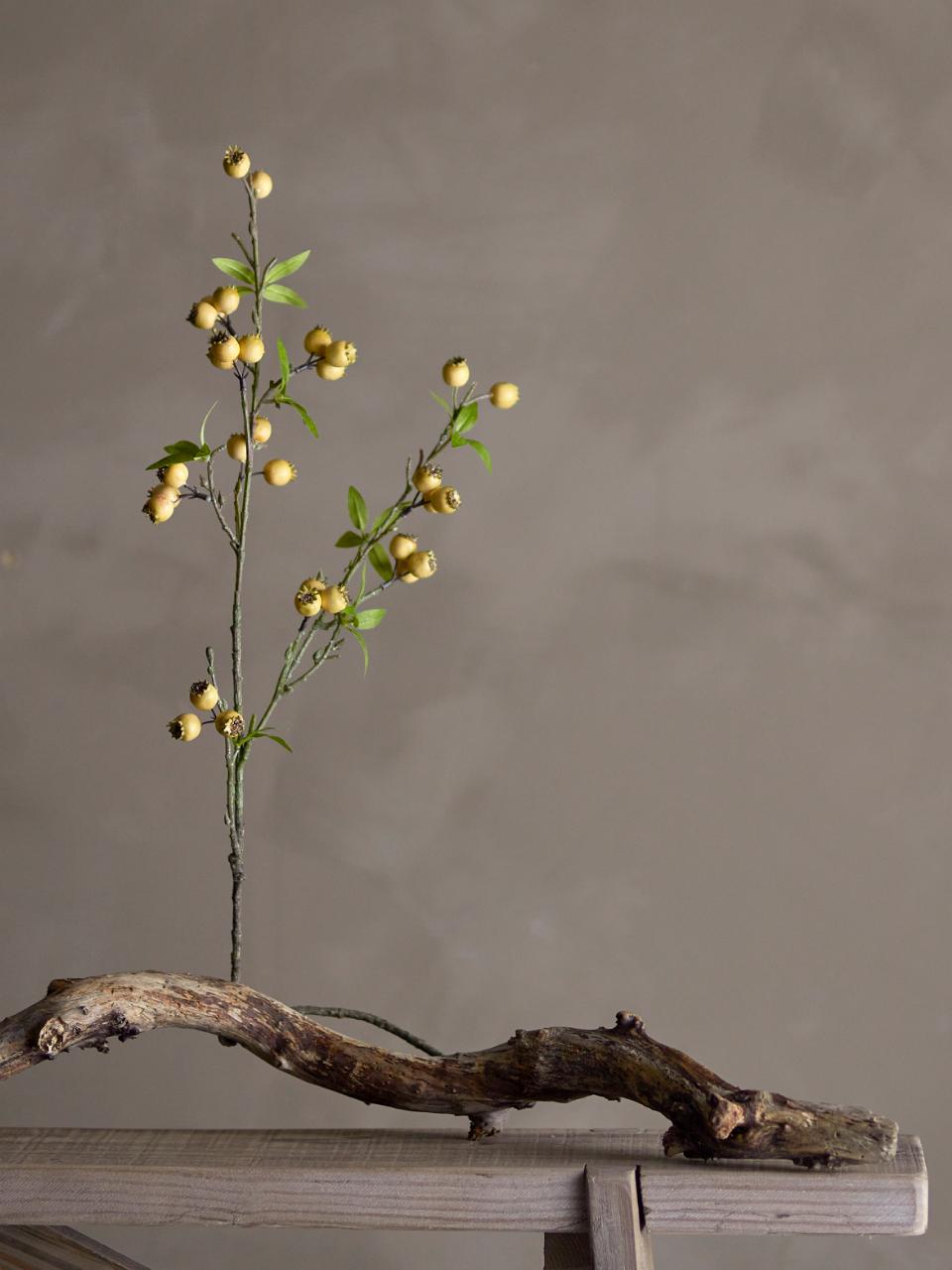 Hawthorn Branch