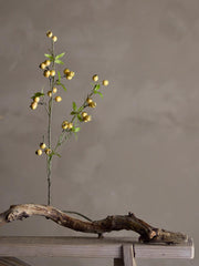 Hawthorn Branch