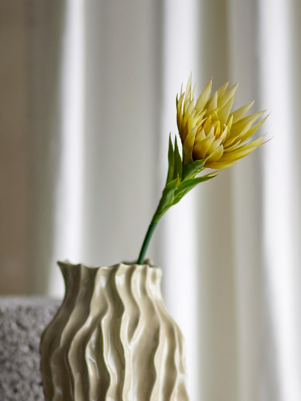 Lily Stem