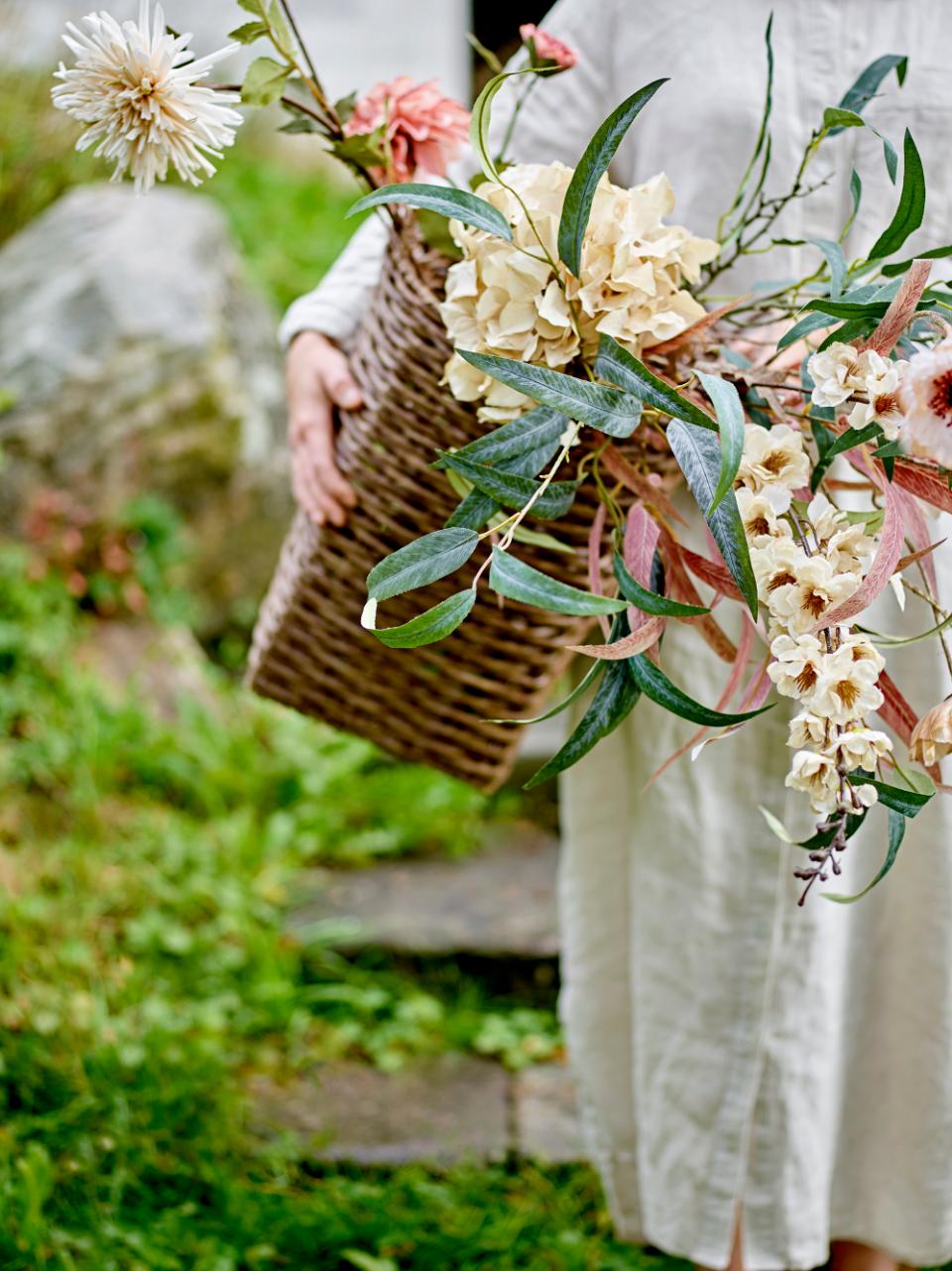 Hydrangea Stem