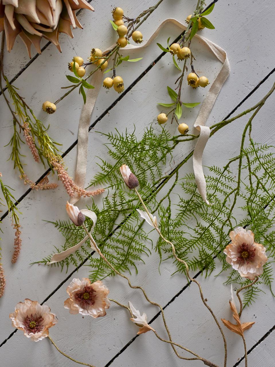 Fern Stem
