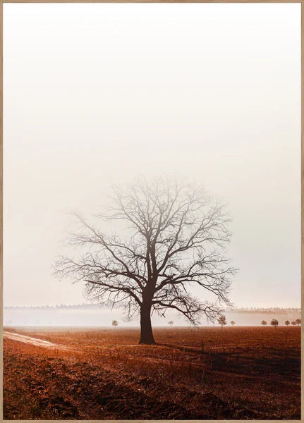 Graceland